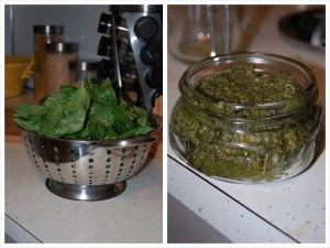 Basil Pesto